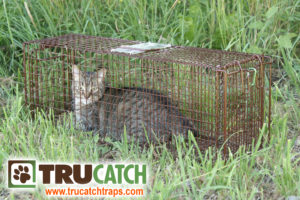 Tru catch trap
