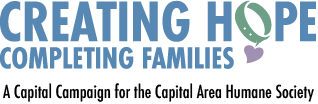creatinghope-logo creatinghope-logo